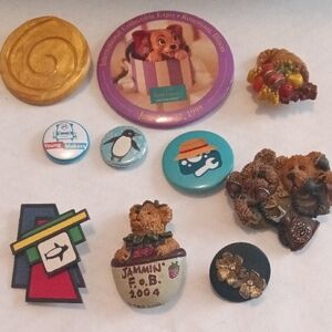 Colorful Pin and Brooch Collection